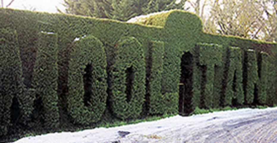 Mooltan House Hotell Hepburn Springs Eksteriør bilde